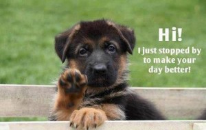So sweet
