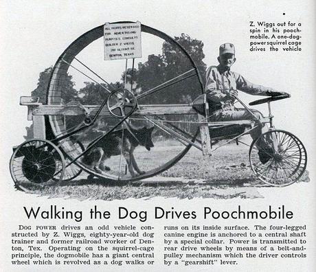 Dog powered vehicle transportation pet 