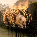 Freya practicing the fire hoops at home