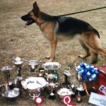 Inka 1991