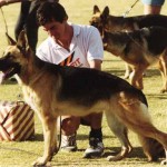 Inka 31-may-1991