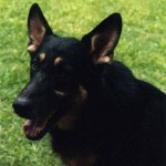 Kali 4 years - 1992
