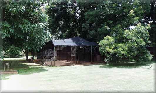 My kennels