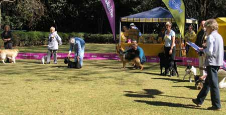 MLKA Grand Challenge still group judging