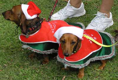 They believe in Santa