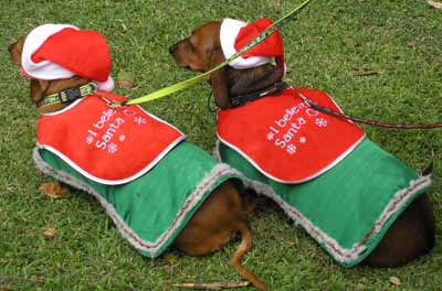 They believe in Santa