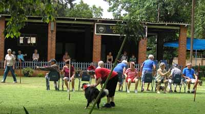The musical chairs