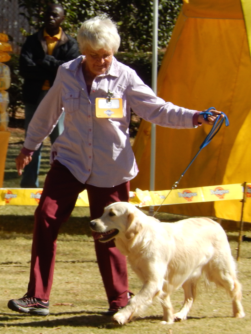 Gundogs