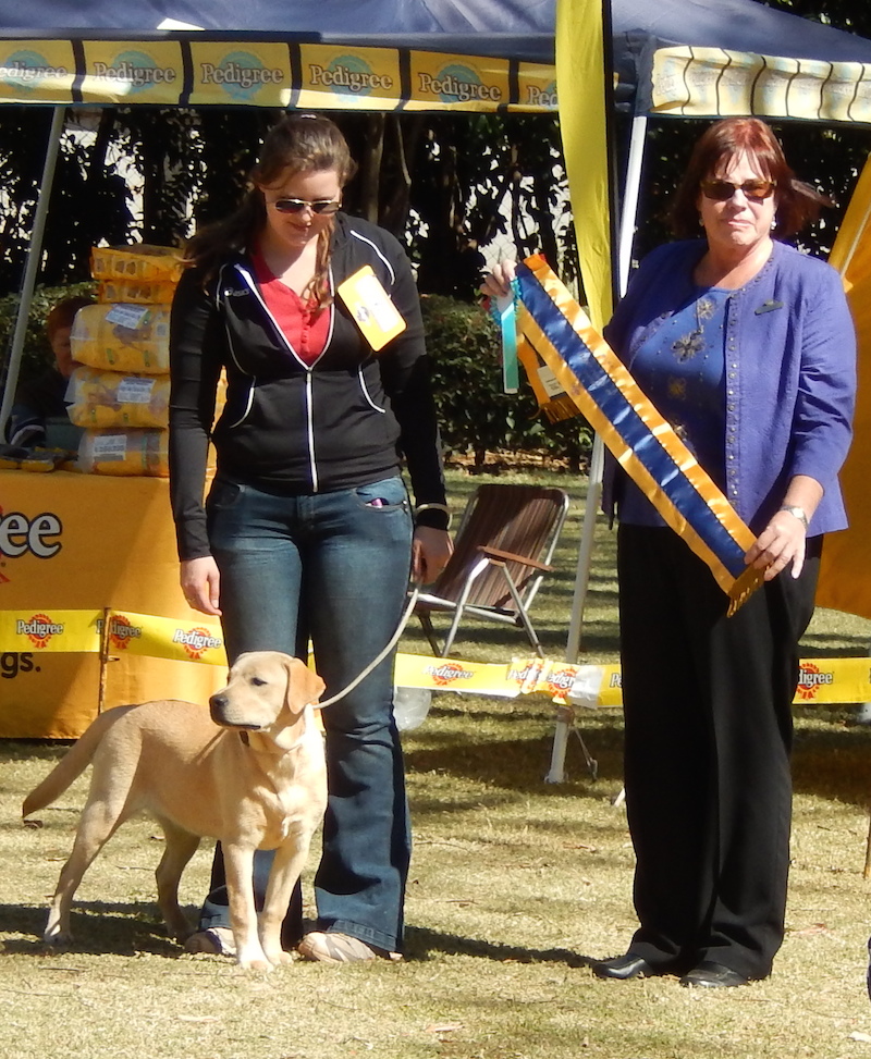 Gundogs