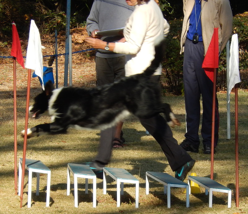Midair action