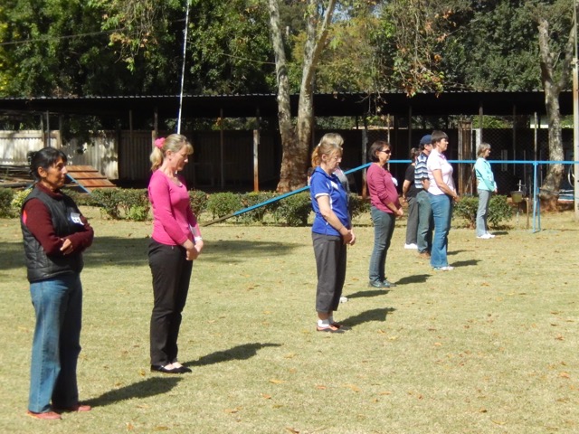 Novice handlers