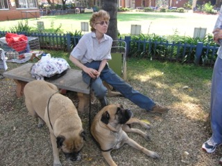 Stephany sitting with their beloved dogs at a KCH show in 2008.