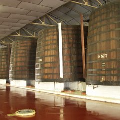 KWV 10 KWV