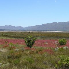 Theewaterskloofdam 01 Theewaterskloofdam