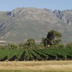 Tulbagh - Hunters Retreat 03 Tulbagh, Hunters retreat farm