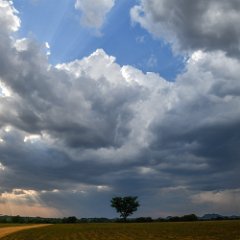 Zimbabwe-Headlands-Onzerust-26-Rain Clouds Hearlands, before the rain