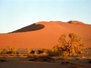 Namibia December 1995