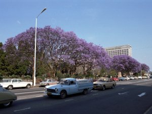 Zimbabwe July 1981