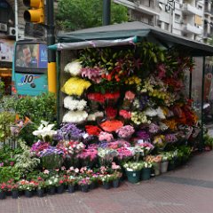 Argentina-Buenos Aires-Flower Stall-Avenida Callao Buenos Aires-Flower Stall-Avenida Callao
