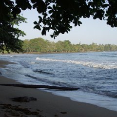Cahuita - National Park 01 Cahuita National Park