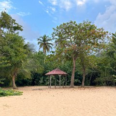 Guadeloupe 202402 - Plage de la Perle 05 - Location DIs shack Plage de la Perle
