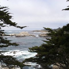 Monterey California coast near Monterey