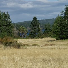 East Sooke Park 06 East Sooke Park