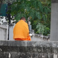 Thailand - Bangkok - Khlong Bangkok Noi 16 - Monk reading Bangkok, Monk reading along Khlong Bangkok Noi