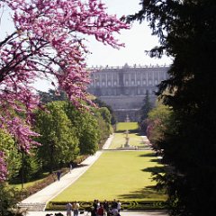 Palacio Real 3 Palacio Real