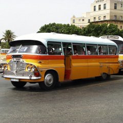 Malta Bus 1 Malta bus