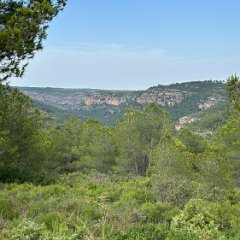 Spain 202506 - 028 - Sierra Natura Navalon