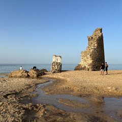 Spain Portugal and France 202608 - 133 - Donana national park Donana National Park