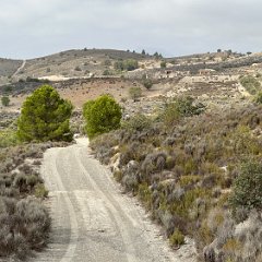 Spain 202409 - 004 - El Zorro near Lorca National park near Lorca
