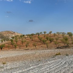 Spain 202409 - 007 - El Zorro near Lorca National park near Lorca