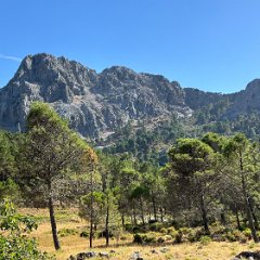 Spain 202409 - 052 - ⁨Sierra de Grazalema Park Sierra de Grazalema