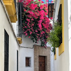Spain 202409 - 080 - Cordoba Cordoba