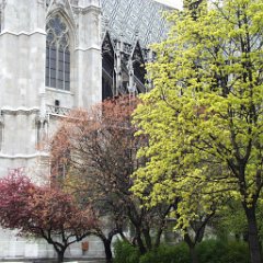 Votivkirche 2 Votivkirche
