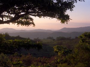 Africa